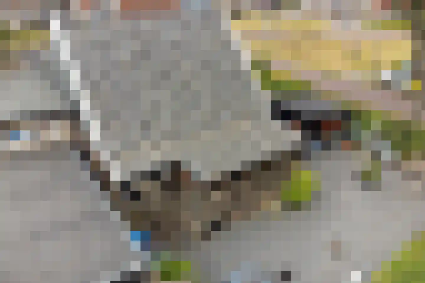 J H Kruisstraat 2 Heerenveen thumbnail 41
