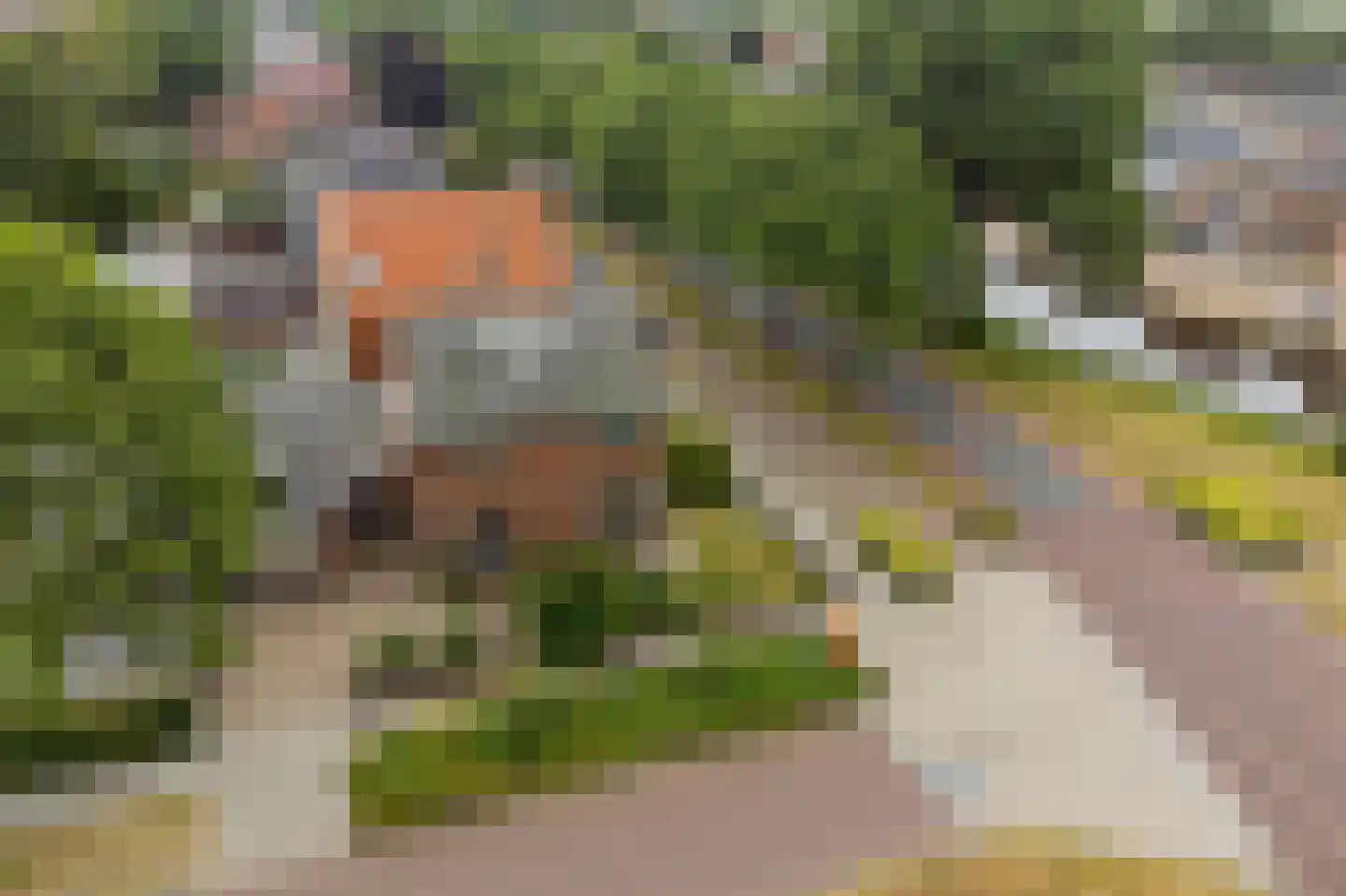 J H Kruisstraat 2 Heerenveen thumbnail 43