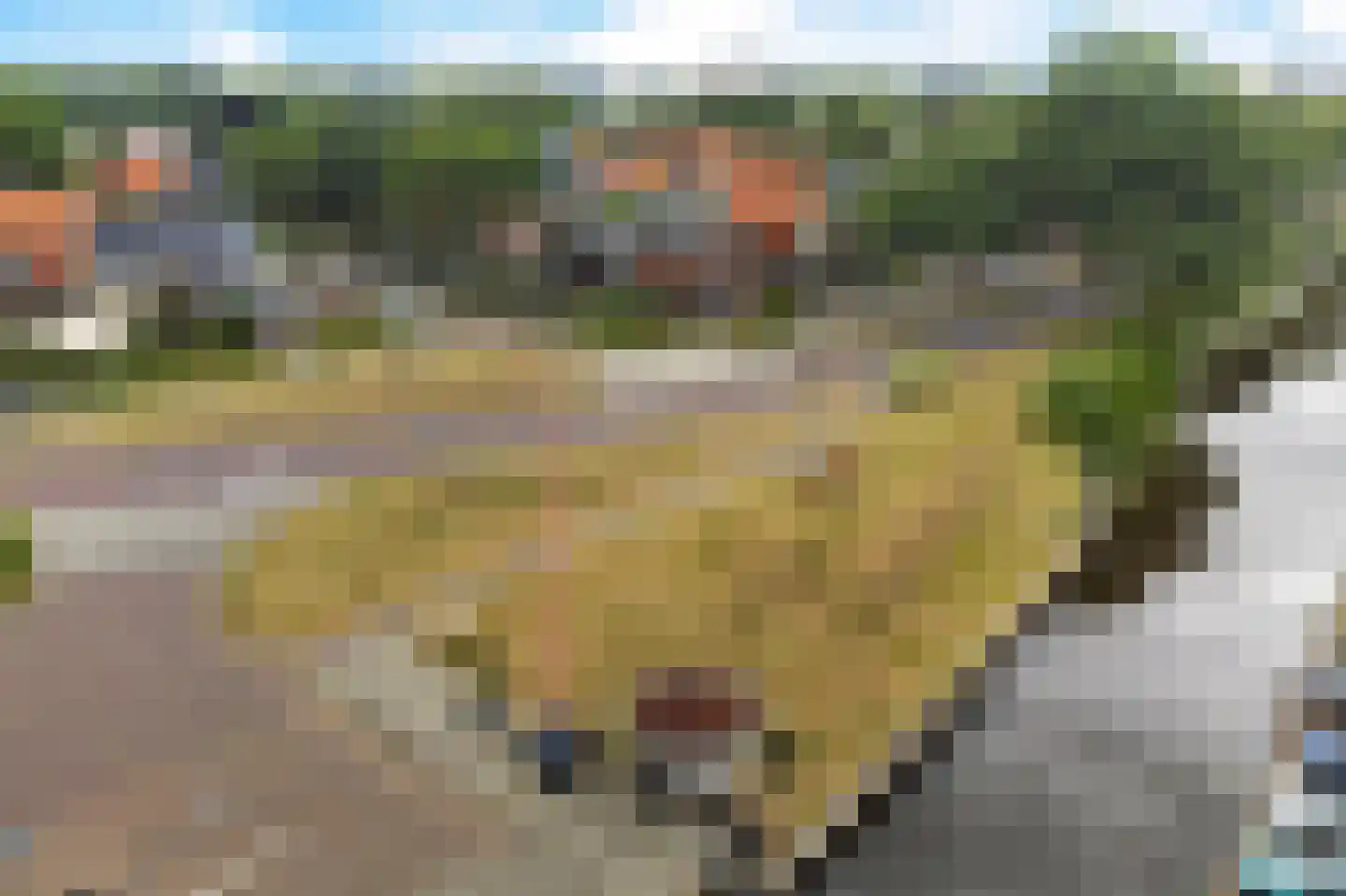 J H Kruisstraat 2 Heerenveen thumbnail 47