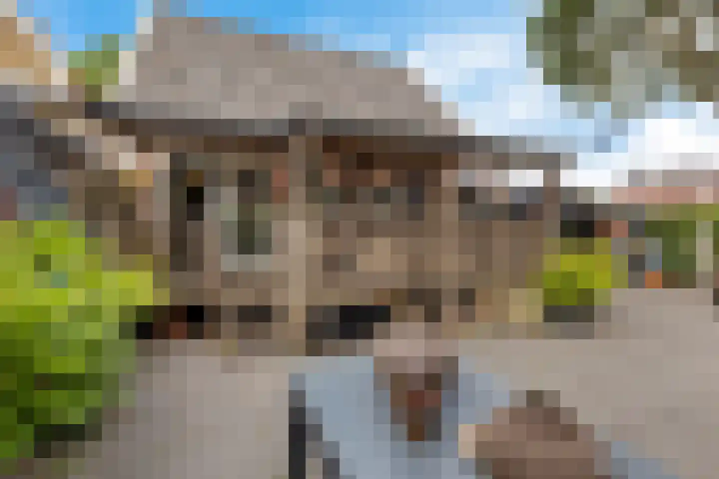 J H Kruisstraat 2 Heerenveen thumbnail 5