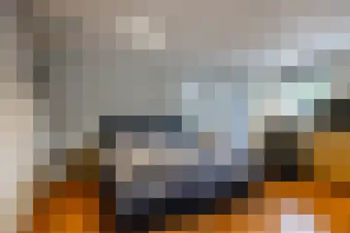 J.H. Kruitstraat 14 Gasselternijveenschemond thumbnail 5