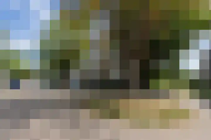 J.H.Leopoldhof 28 Weesp thumbnail 23