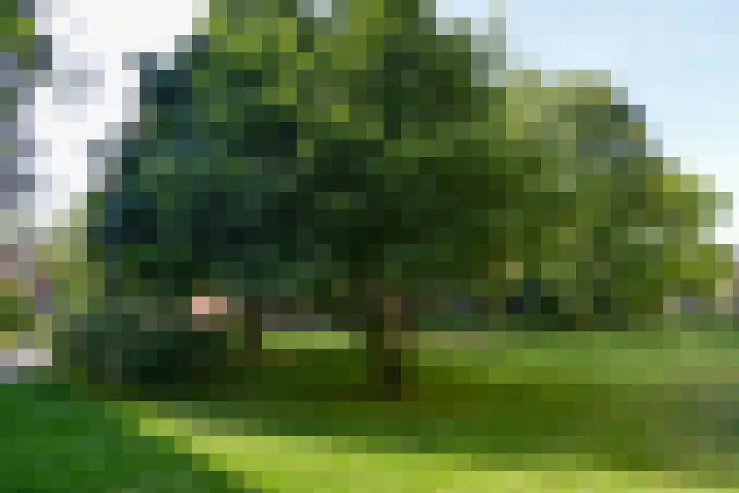 J.H.Leopoldhof 64 Weesp thumbnail 22