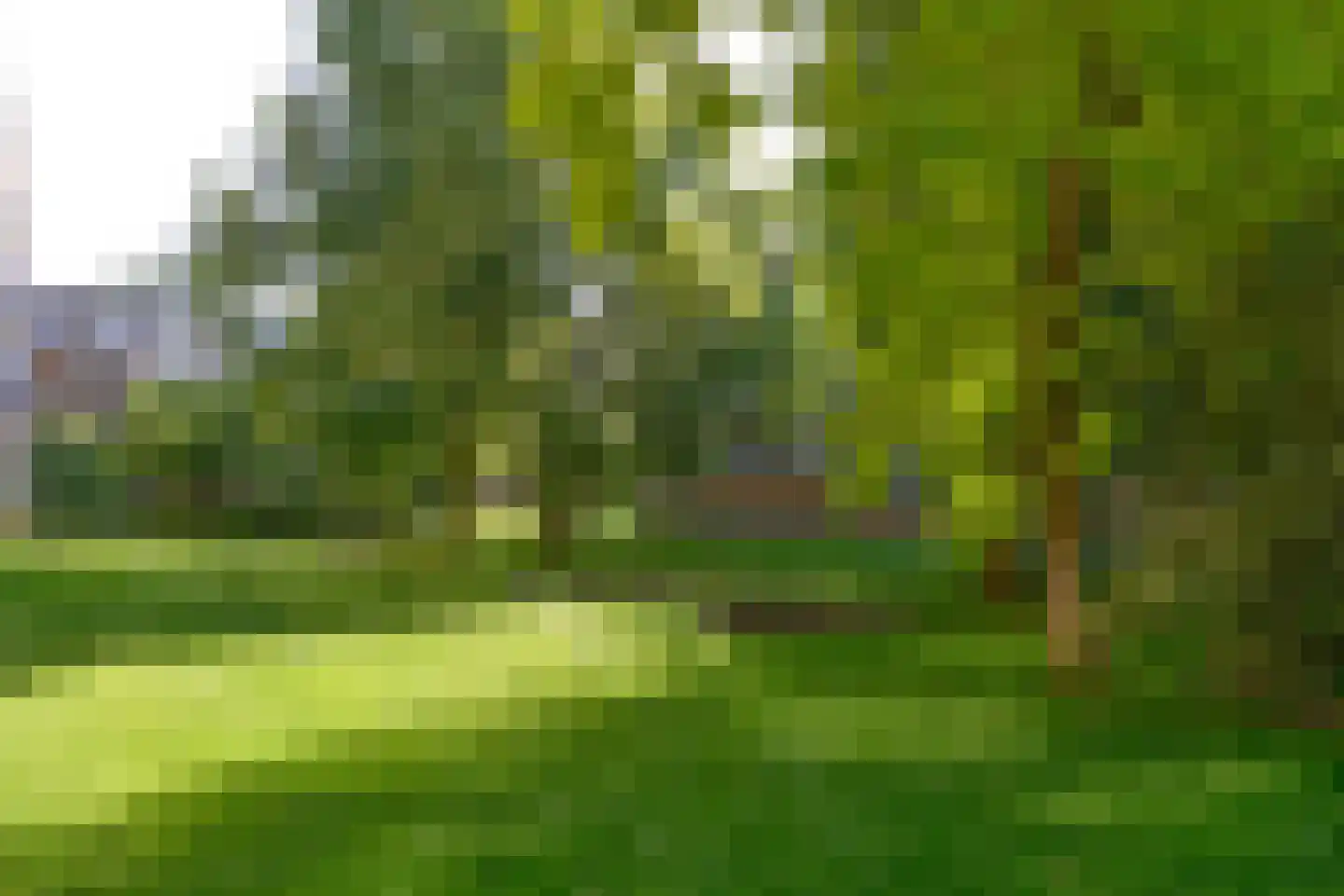 J.H.Leopoldhof 64 Weesp thumbnail 23