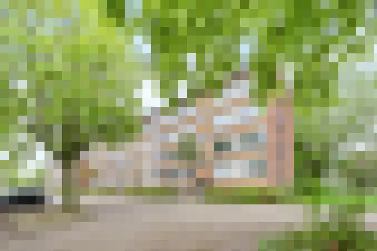 J.H.Leopoldhof 83 Weesp thumbnail 21