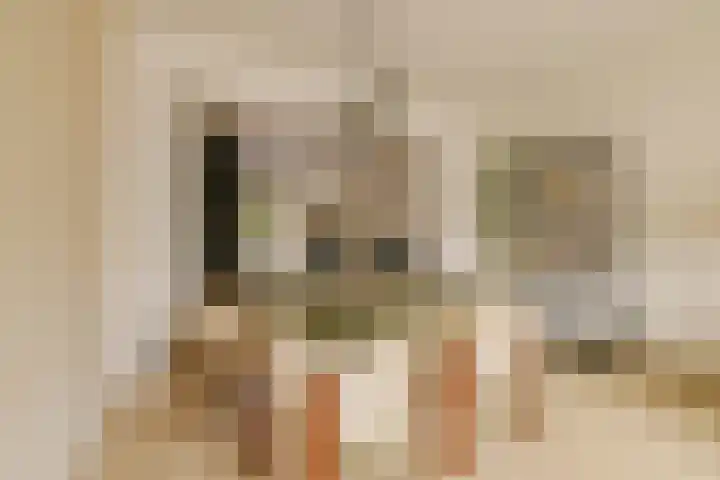 J.H. Leopoldstraat 63 Haarlem thumbnail 14