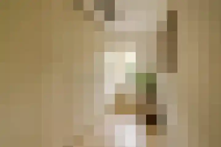 J.H. Leopoldstraat 63 Haarlem thumbnail 32