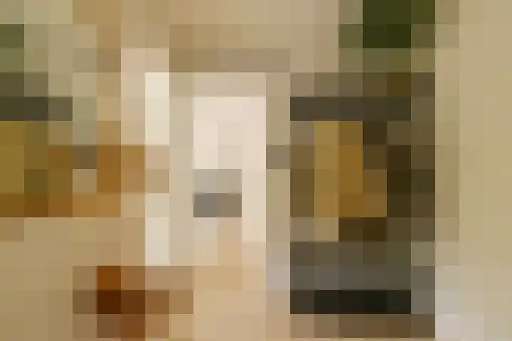 J.H. Leopoldstraat 63 Haarlem thumbnail 34