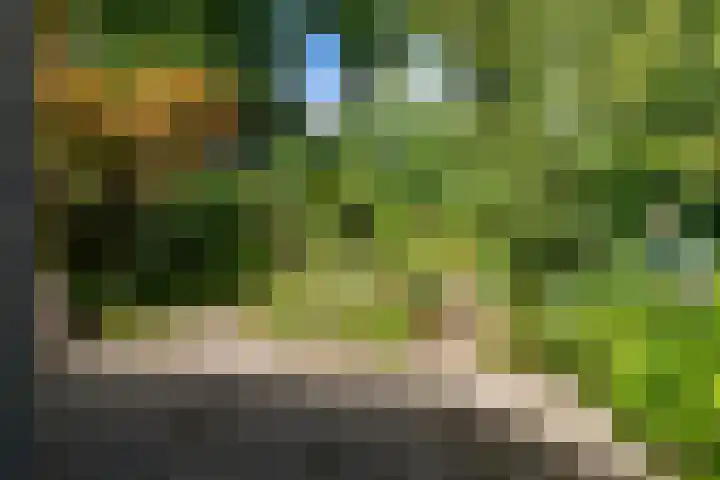 J.H.M. Kerssemakerslaan 5 Waalre thumbnail 32