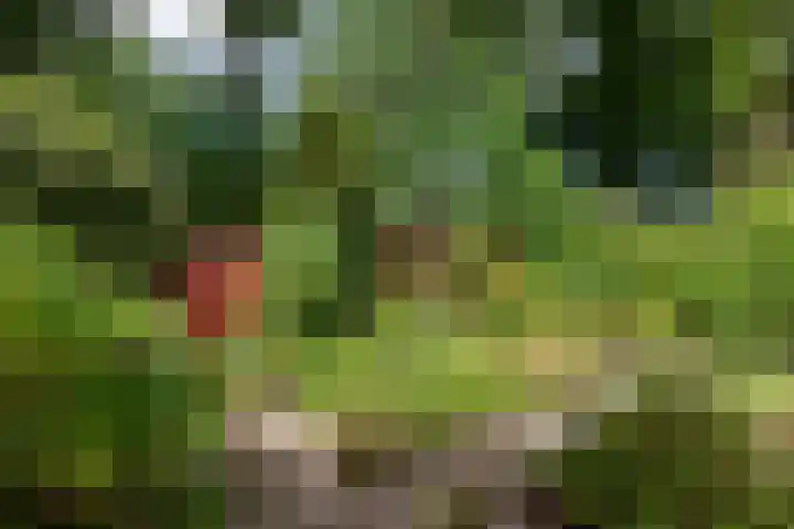 J.H.M. Kerssemakerslaan 5 Waalre thumbnail 35