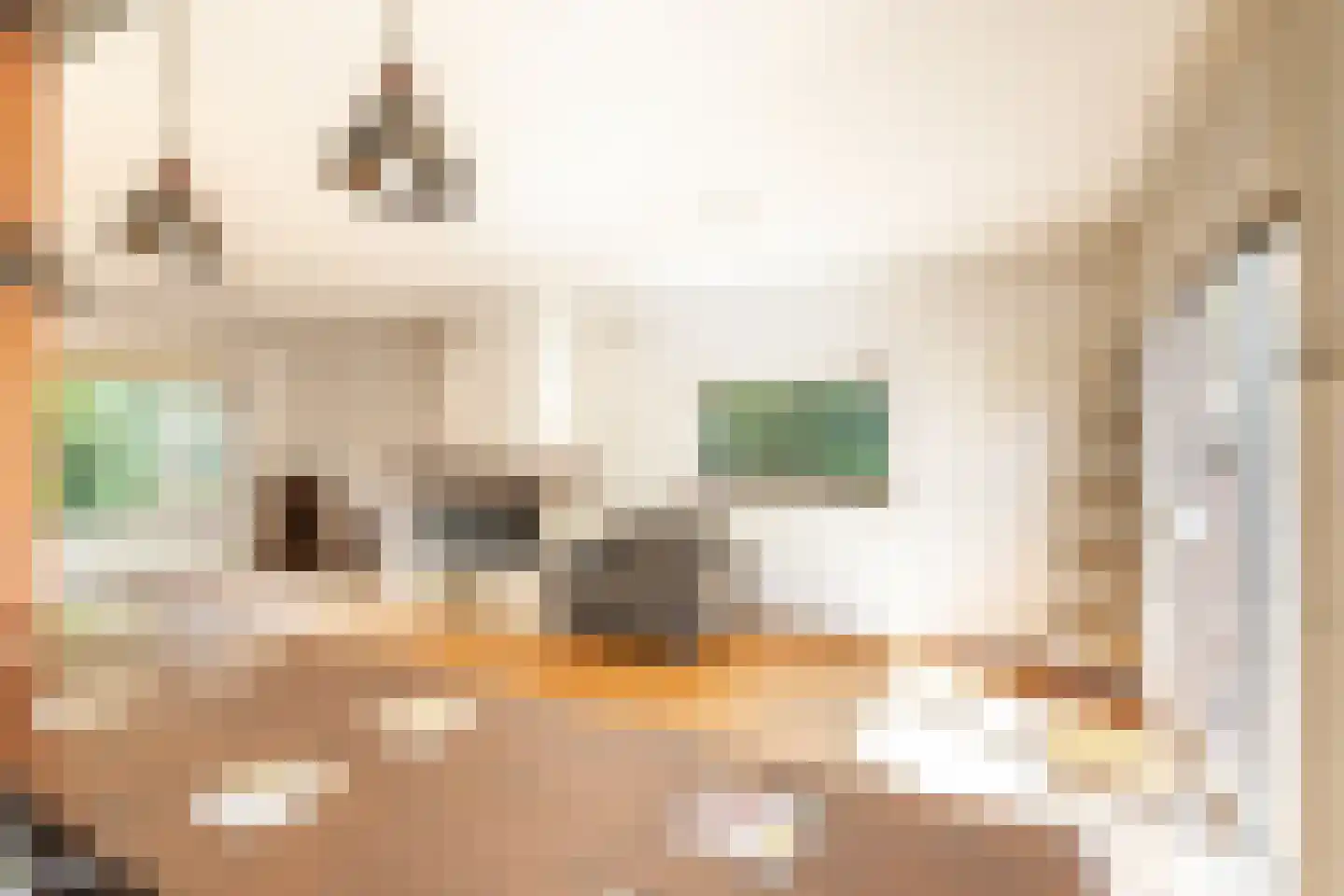 J.H. Meijerstraat 1 Hilversum thumbnail 20