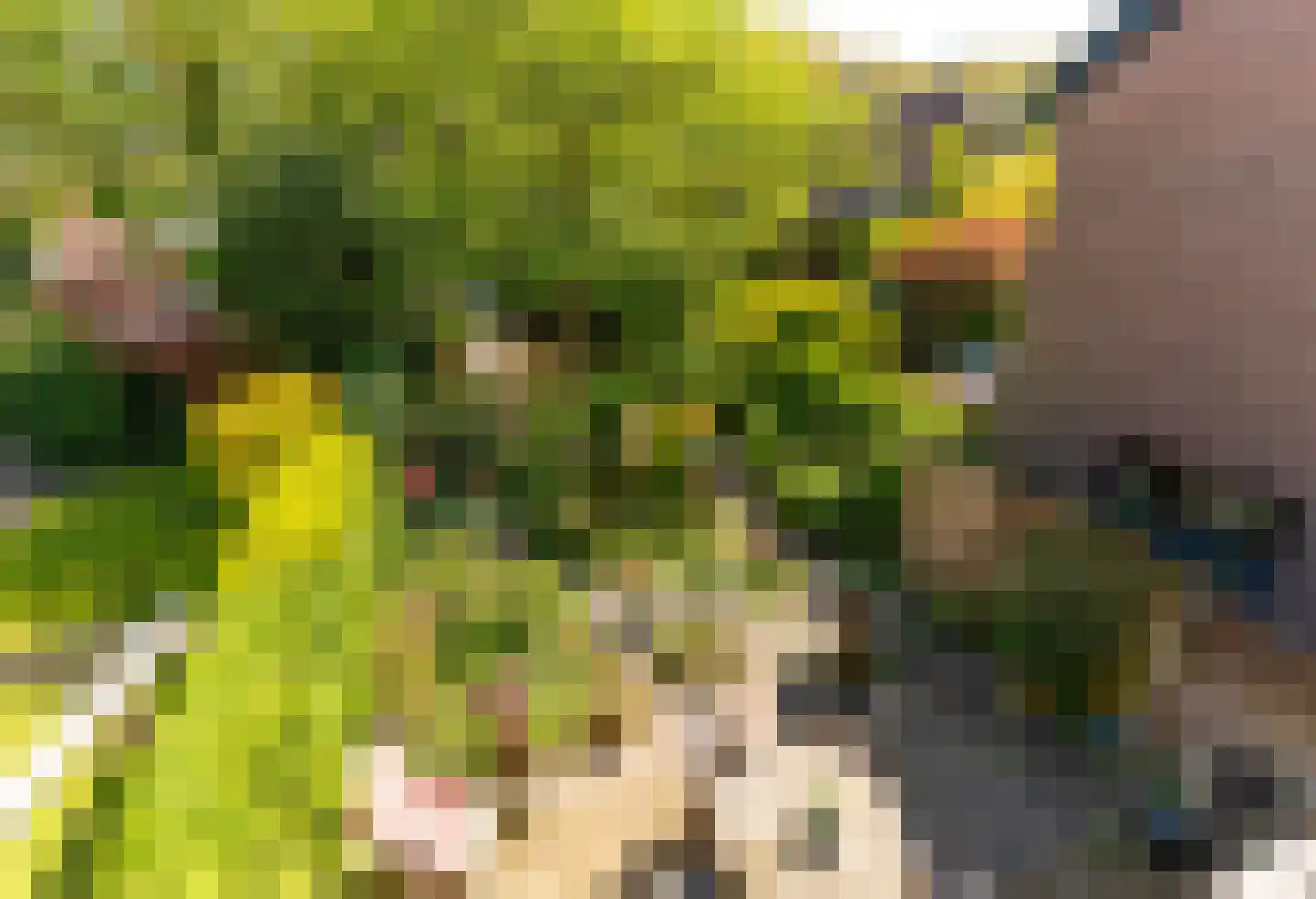 J.H. Meijerstraat 7 Hilversum thumbnail 30