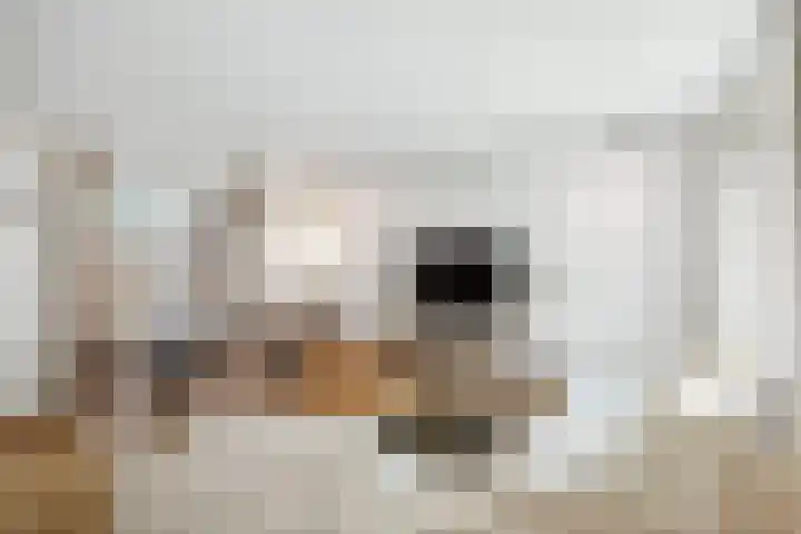 J.H. Pannekoekpad 14 Deventer thumbnail 11