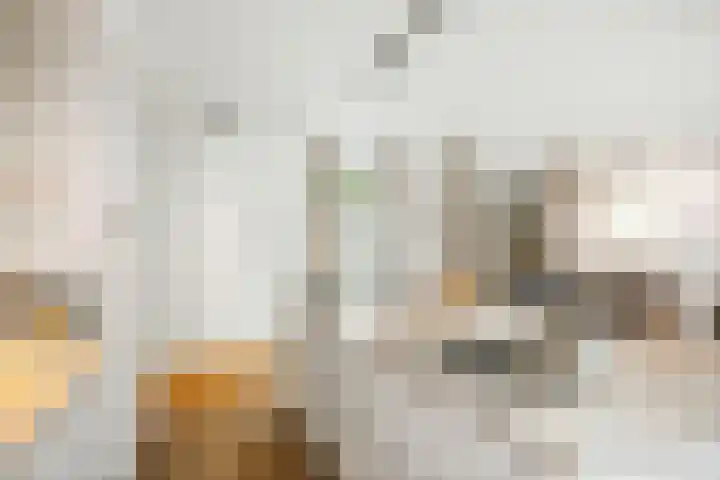 J.H. Pannekoekpad 14 Deventer thumbnail 14