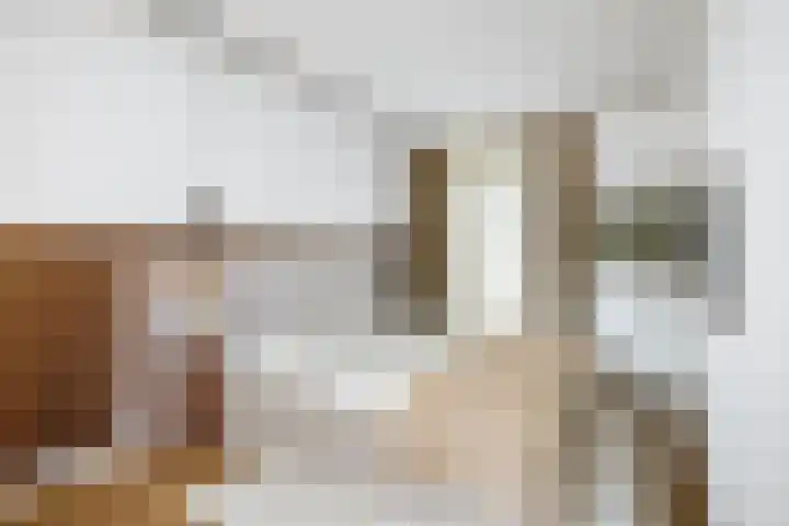 J.H. Pannekoekpad 14 Deventer thumbnail 20