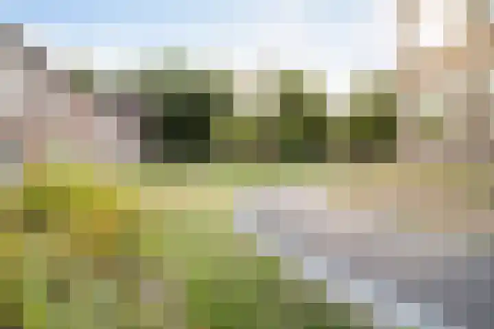 J.H. Pannekoekpad 14 Deventer thumbnail 44