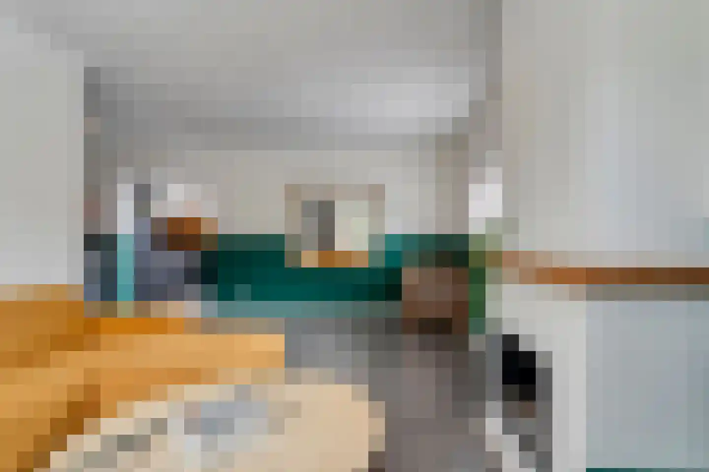 J.H. Prengerlaan 1 Hardenberg thumbnail 17