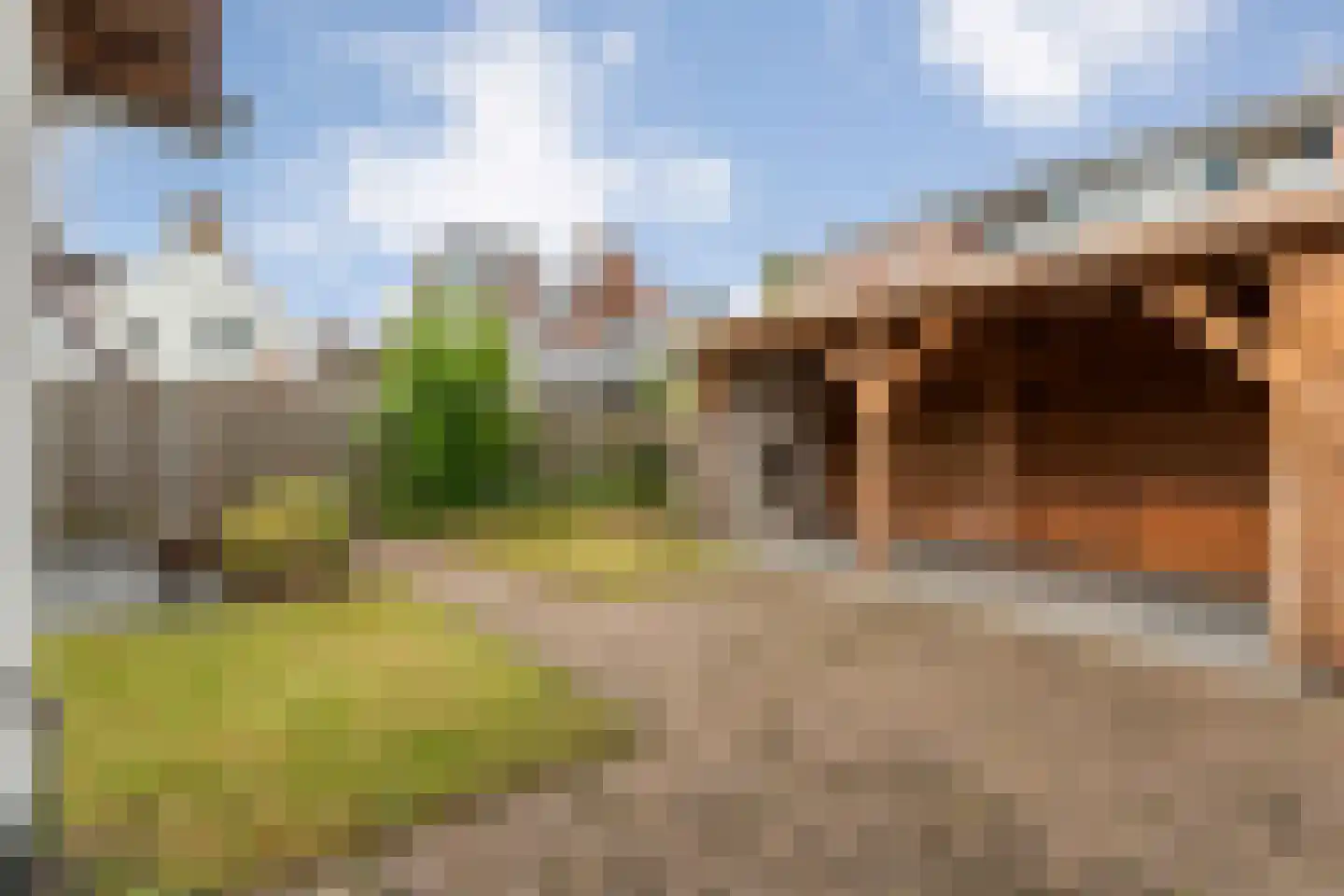 J.H. Prengerlaan 1 Hardenberg thumbnail 31