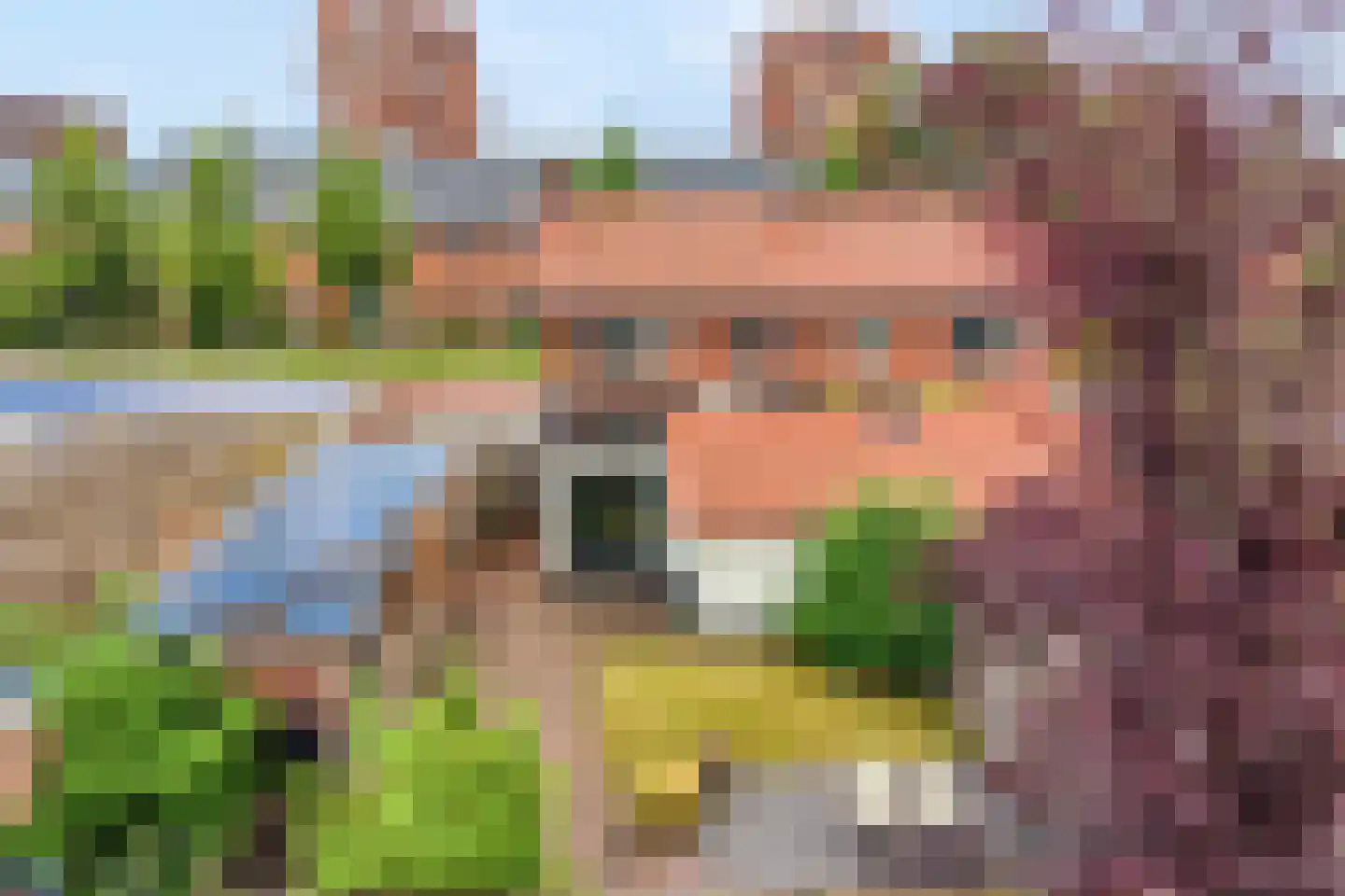 J.H. Prengerlaan 1 Hardenberg thumbnail 39