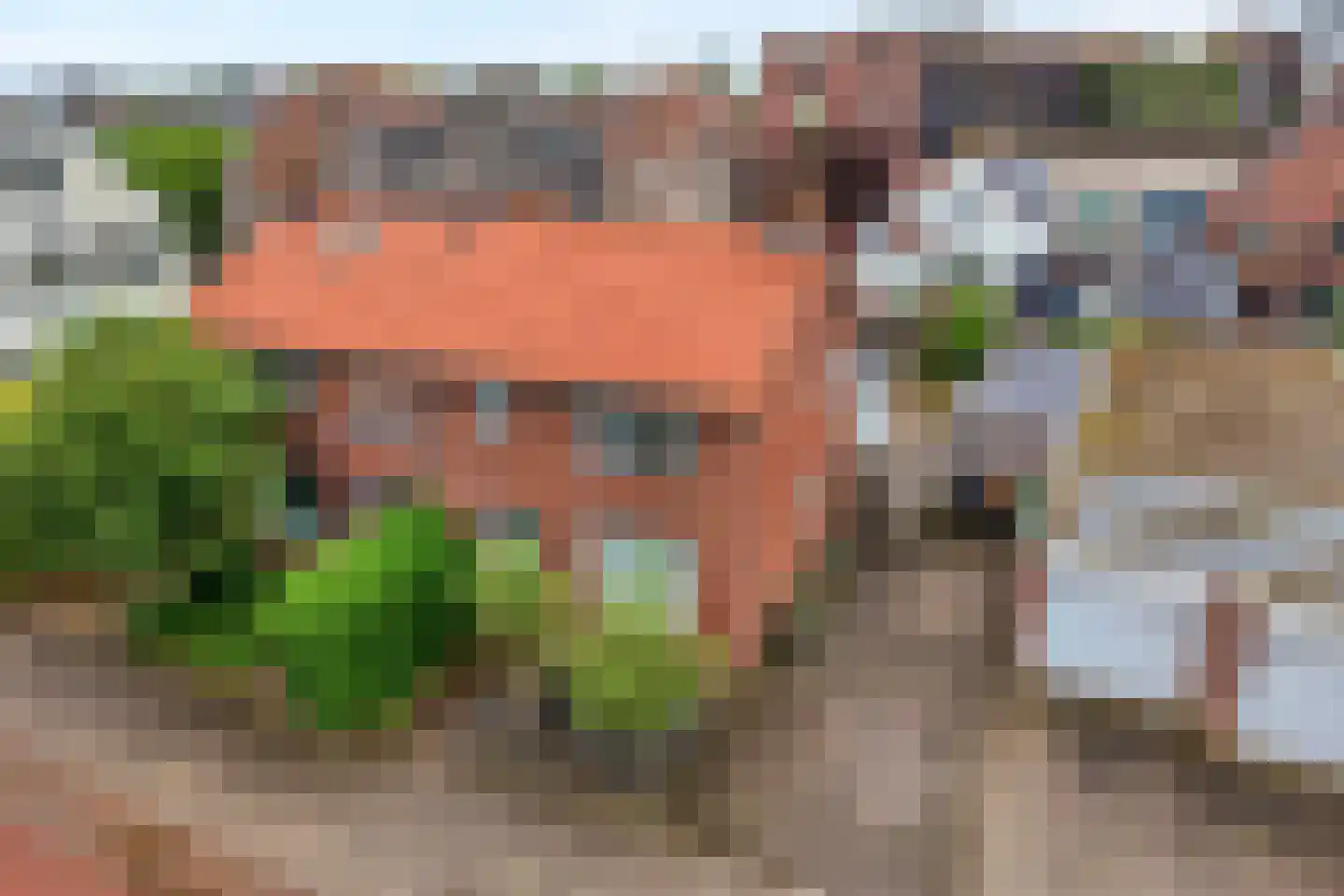 J.H. Prengerlaan 1 Hardenberg thumbnail 40