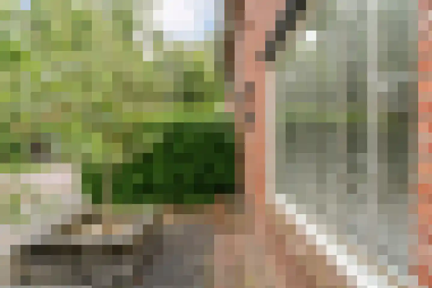J.H. Prengerlaan 1 Hardenberg thumbnail 42