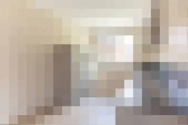 J.H. Prengerlaan 3 b Hardenberg thumbnail 15