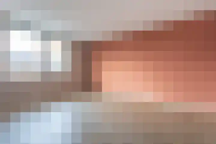 J.H. Prengerlaan 3 b Hardenberg thumbnail 19