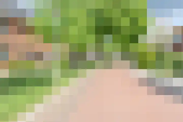 J.H. Prengerlaan 3 b Hardenberg thumbnail 34