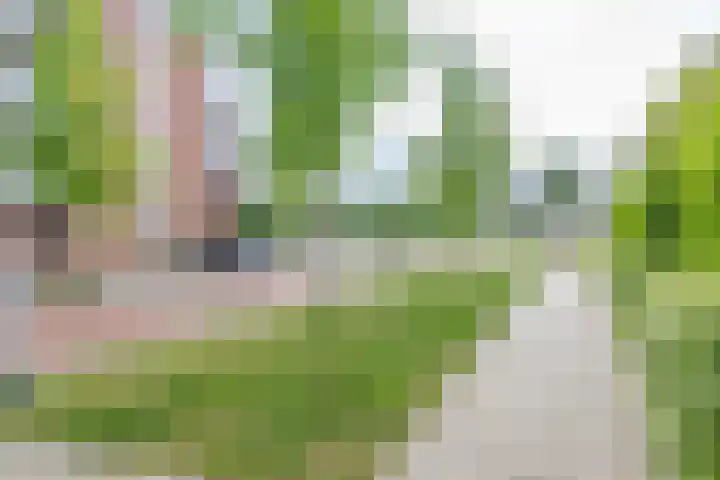 J.H. Prengerlaan 3 b Hardenberg thumbnail 35