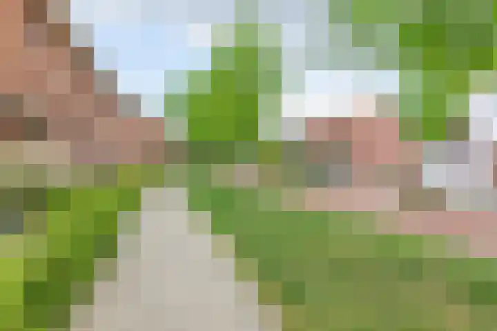 J.H. Prengerlaan 3 b Hardenberg thumbnail 36