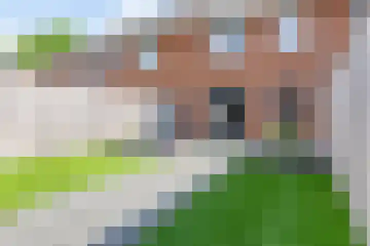 J.H. Prengerlaan 3 b Hardenberg thumbnail 5
