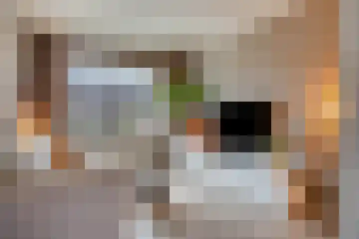 J.H. Schaperweg 12 Muntendam thumbnail 15