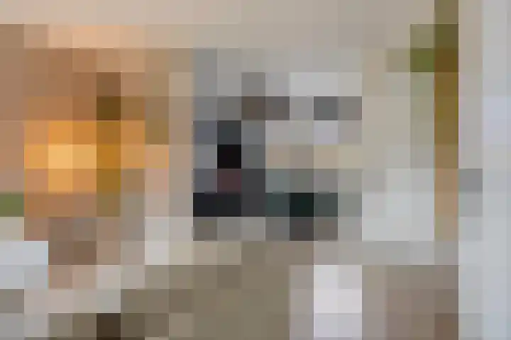 J.H. Schaperweg 12 Muntendam thumbnail 17