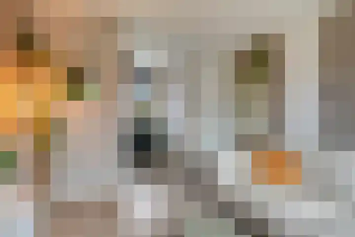 J.H. Schaperweg 12 Muntendam thumbnail 19
