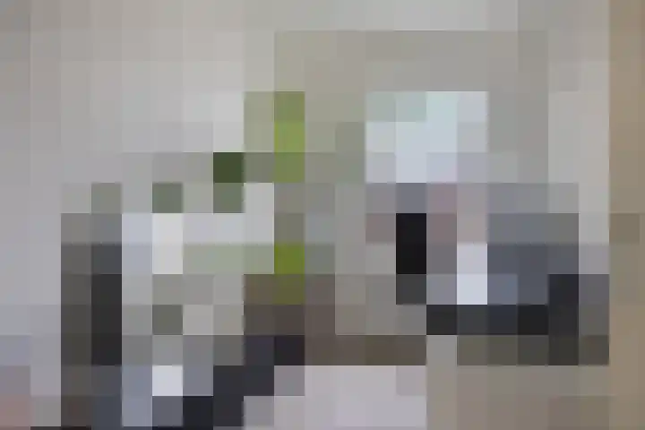 J.H. Schaperweg 12 Muntendam thumbnail 24