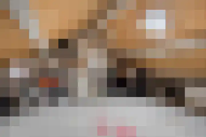 J.H. Schaperweg 12 Muntendam thumbnail 33