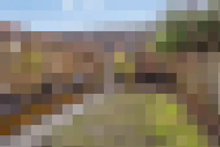 J.H. Schaperweg 12 Muntendam thumbnail 35