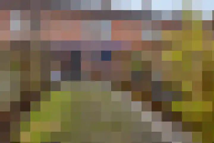 J.H. Schaperweg 12 Muntendam thumbnail 37