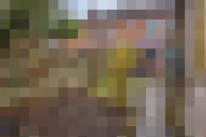 J.H. Schaperweg 12 Muntendam thumbnail 38