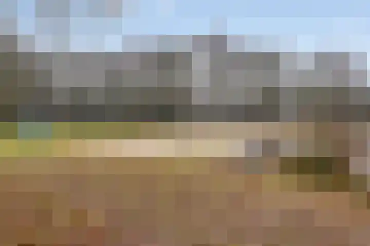 J.H. Schaperweg 12 Muntendam thumbnail 41