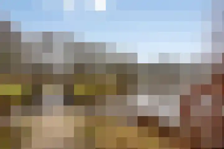 J.H. Schaperweg 12 Muntendam thumbnail 42