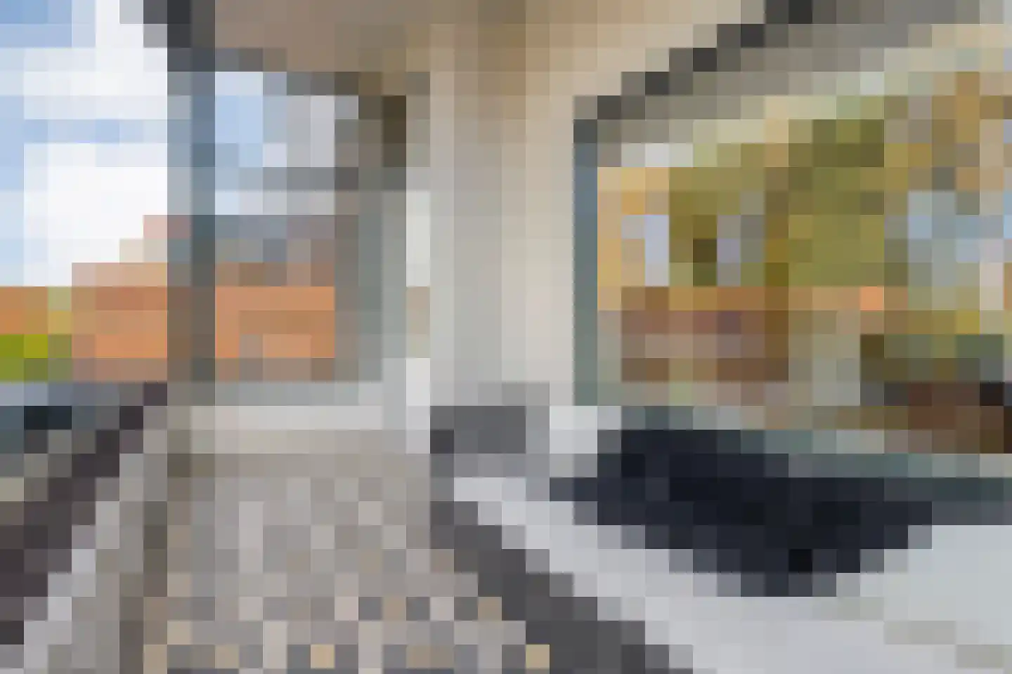 J H Tromp Meestersstraat 13 Steenwijk thumbnail 24