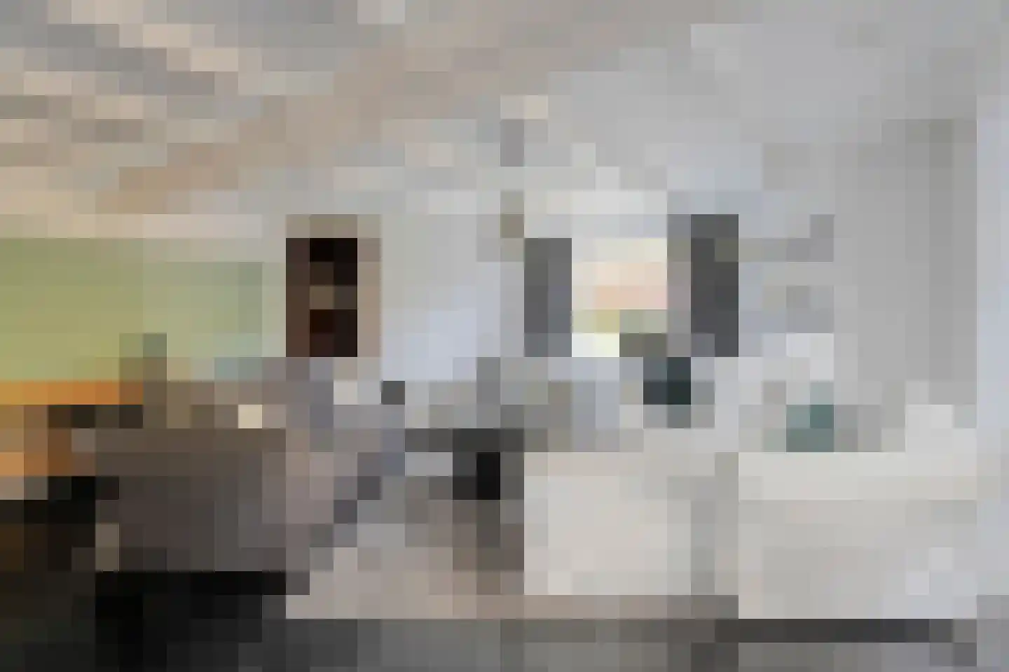 J H Tromp Meestersstraat 13 Steenwijk thumbnail 40