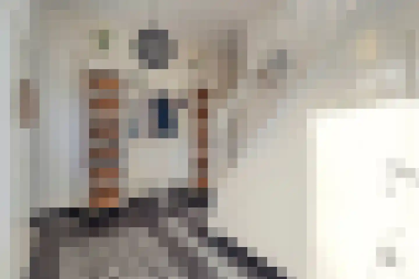 J H Tromp Meestersstraat 13 Steenwijk thumbnail 8