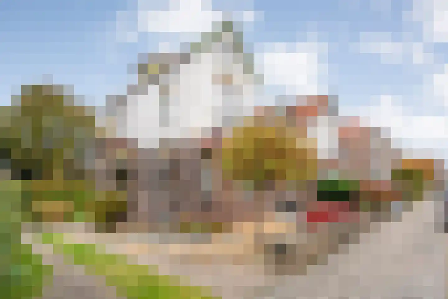 J H Tromp Meestersstraat 13 Steenwijk thumbnail 81