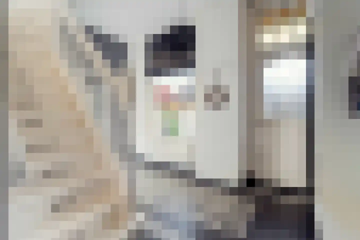 J H Tromp Meestersstraat 13 Steenwijk thumbnail 9