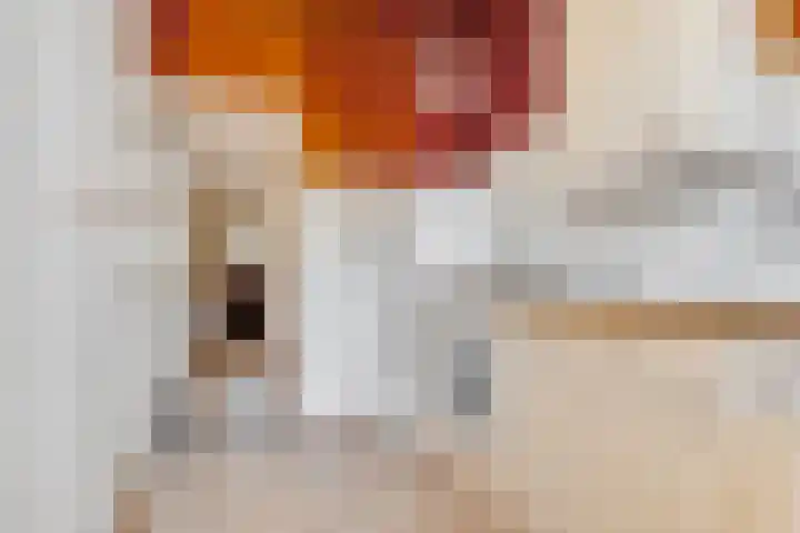 J.H.Valkenburglaan 22 Kortenhoef thumbnail 12