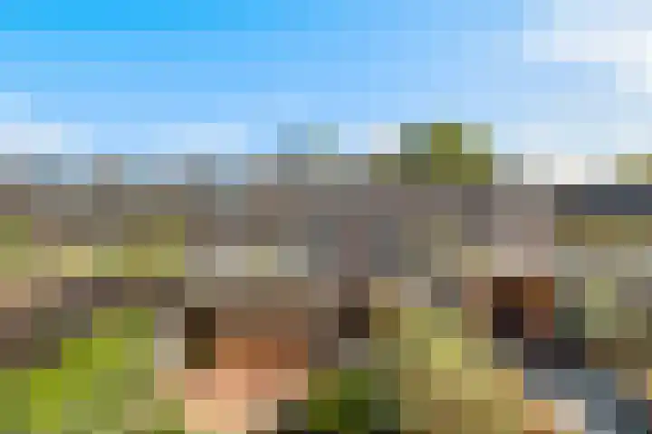 J.H.Valkenburglaan 22 Kortenhoef thumbnail 15