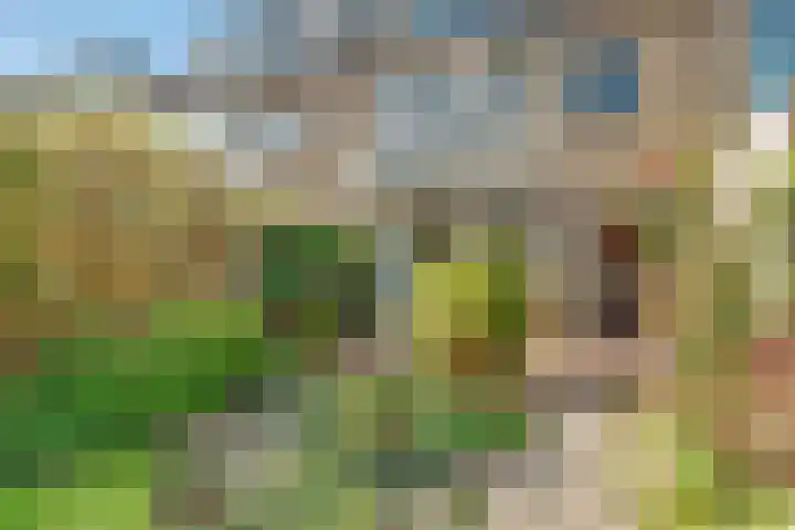 J.H.Valkenburglaan 22 Kortenhoef thumbnail 28