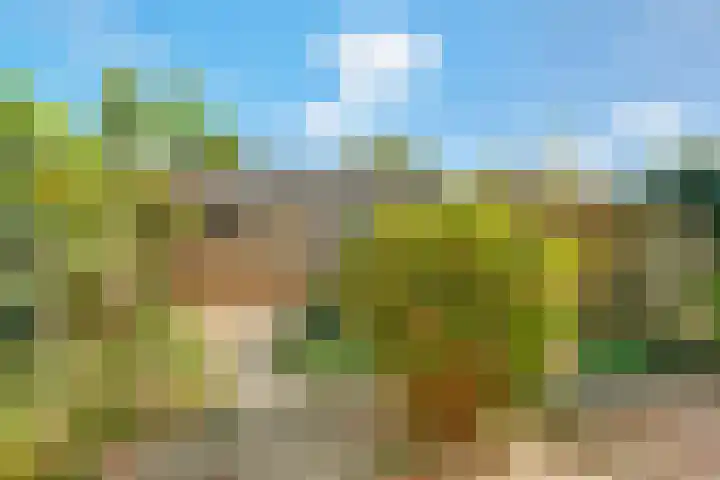 J.H.Valkenburglaan 22 Kortenhoef thumbnail 31